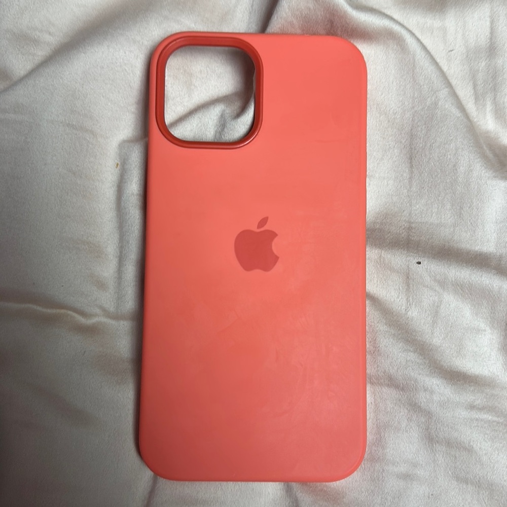 iPhone 12 Pro Max Apple Case